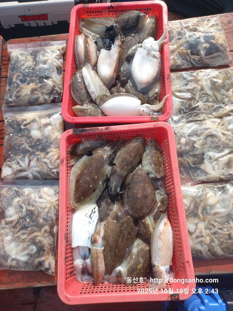 e37850fde0ae6fbd779ea06b6e0b43c2_1760945