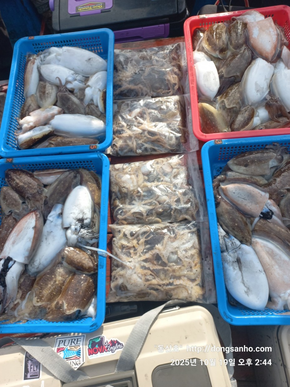 e37850fde0ae6fbd779ea06b6e0b43c2_1760945