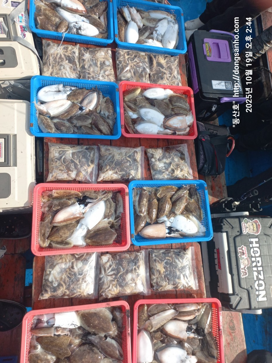 e37850fde0ae6fbd779ea06b6e0b43c2_1760945