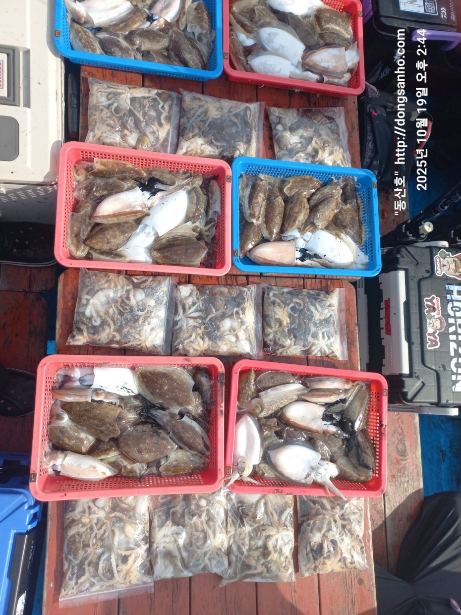 e37850fde0ae6fbd779ea06b6e0b43c2_1760945