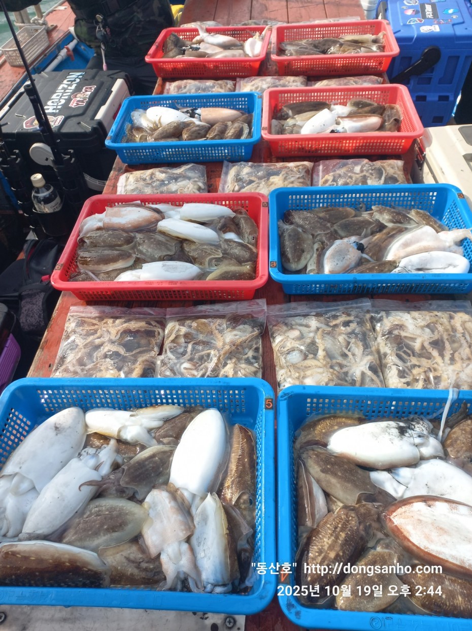 e37850fde0ae6fbd779ea06b6e0b43c2_1760945