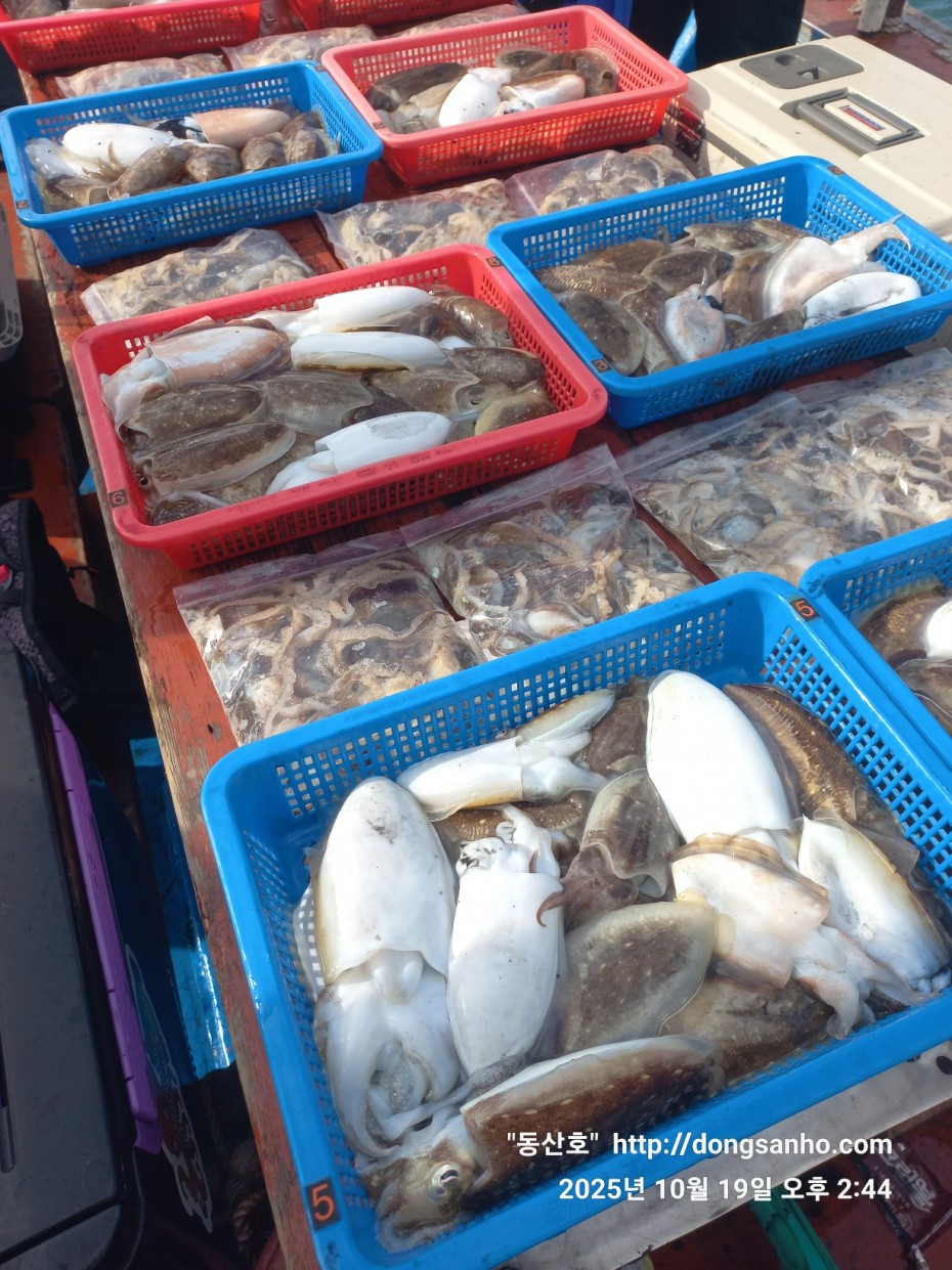 e37850fde0ae6fbd779ea06b6e0b43c2_1760945