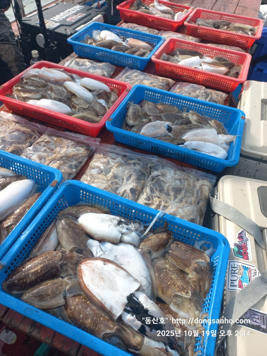 e37850fde0ae6fbd779ea06b6e0b43c2_1760945