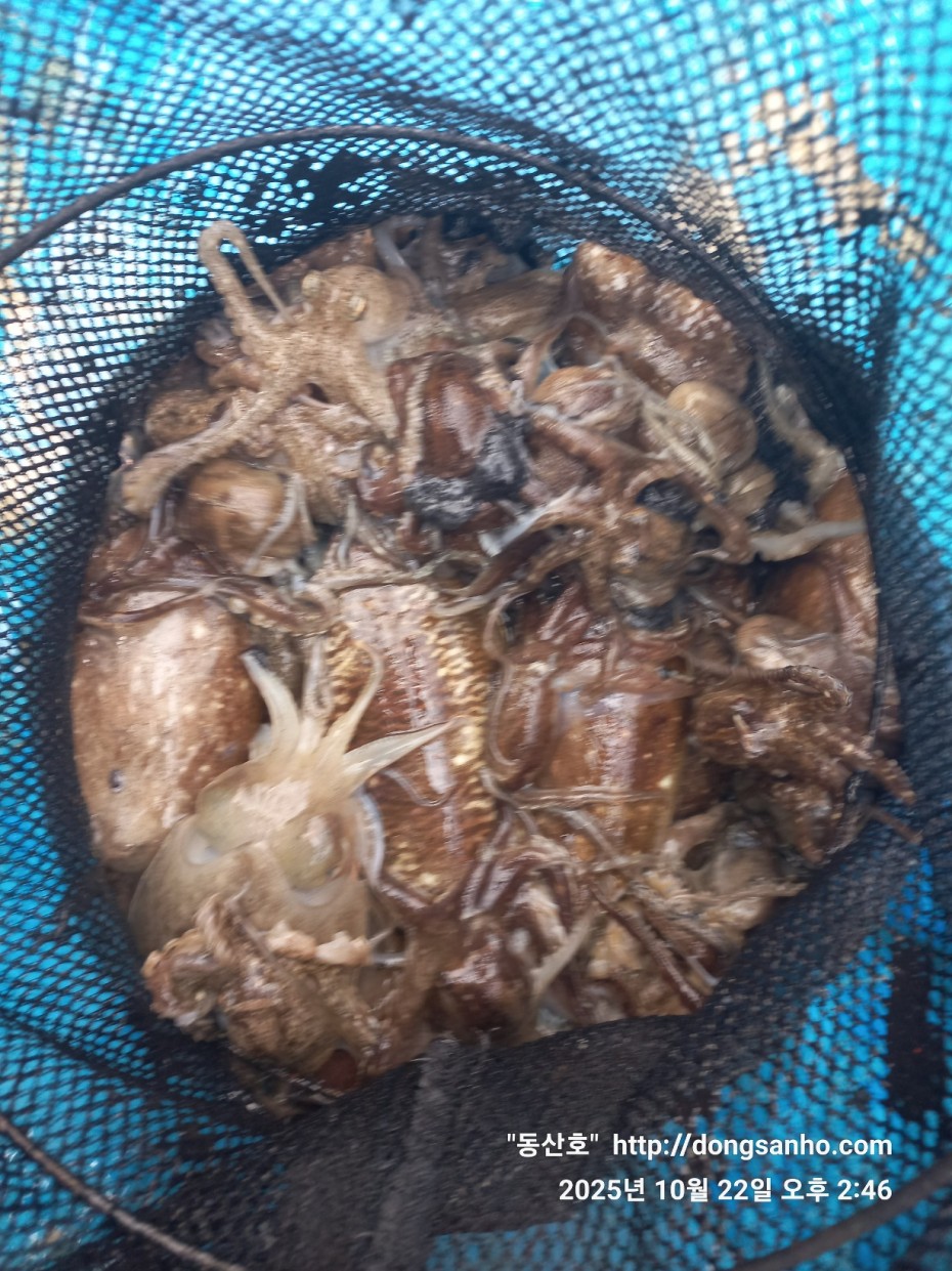 e37850fde0ae6fbd779ea06b6e0b43c2_1761151