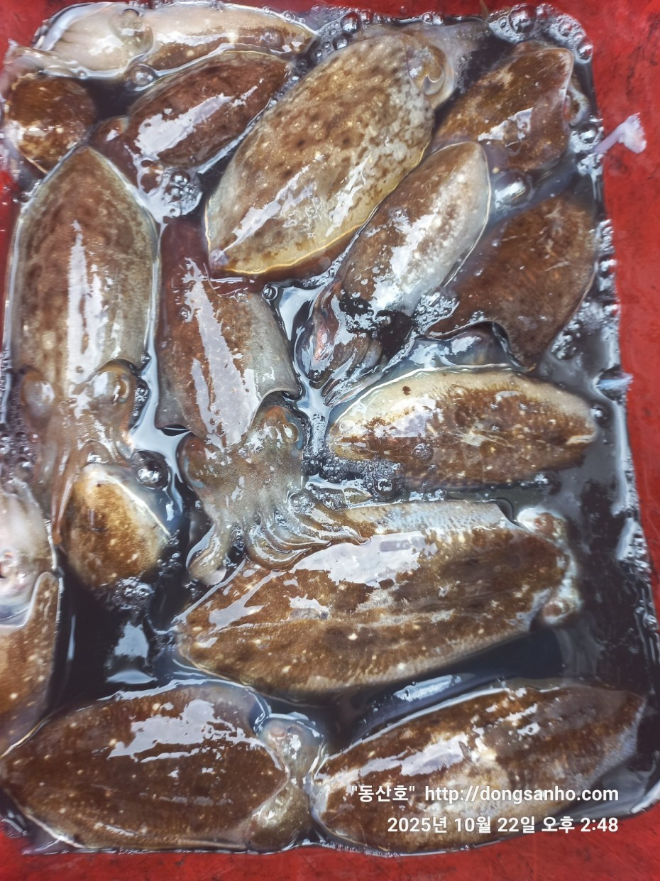 e37850fde0ae6fbd779ea06b6e0b43c2_1761151