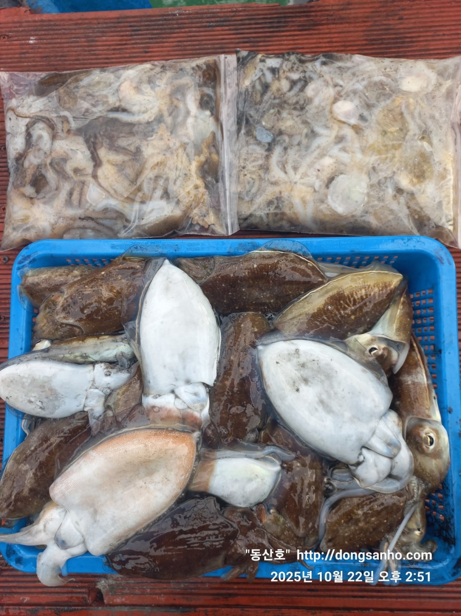 e37850fde0ae6fbd779ea06b6e0b43c2_1761151