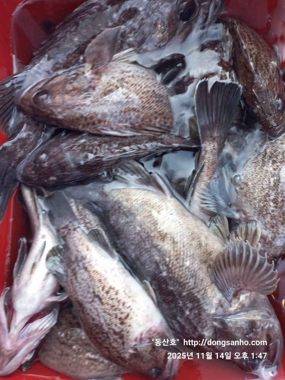 1d83b5011e8aa557f1940dab04e57778_1763142