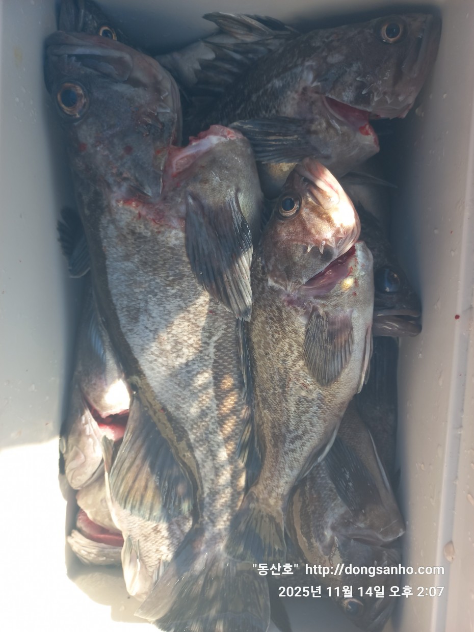 1d83b5011e8aa557f1940dab04e57778_1763142