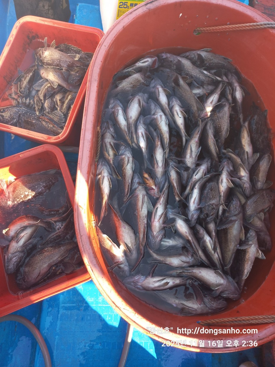 1d83b5011e8aa557f1940dab04e57778_1763416