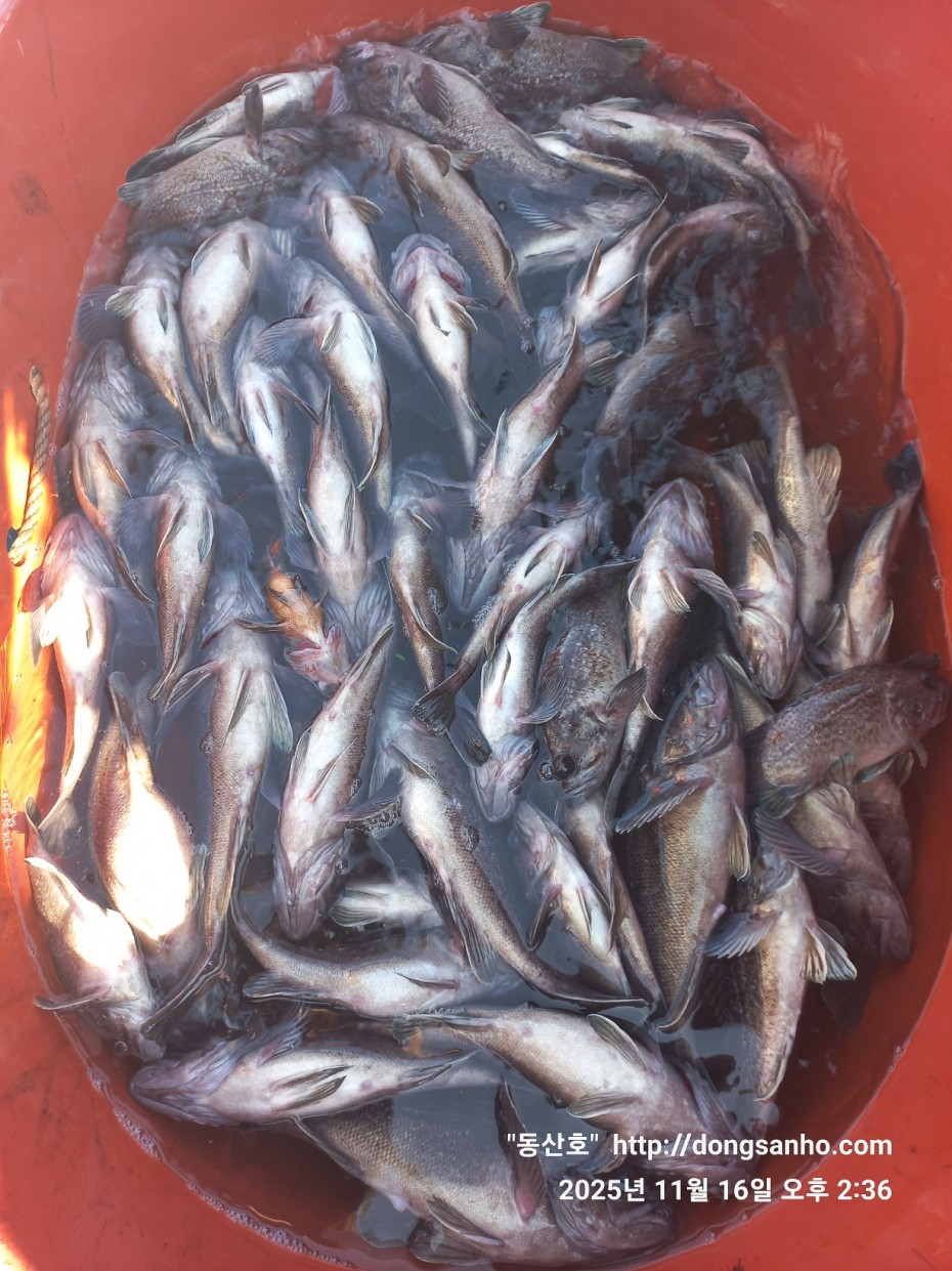 1d83b5011e8aa557f1940dab04e57778_1763416