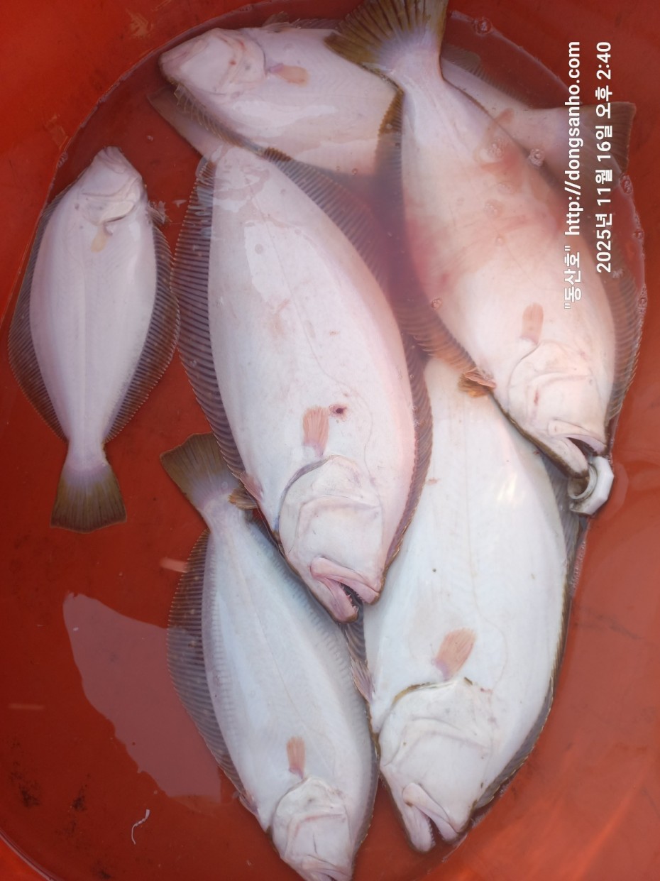 1d83b5011e8aa557f1940dab04e57778_1763416