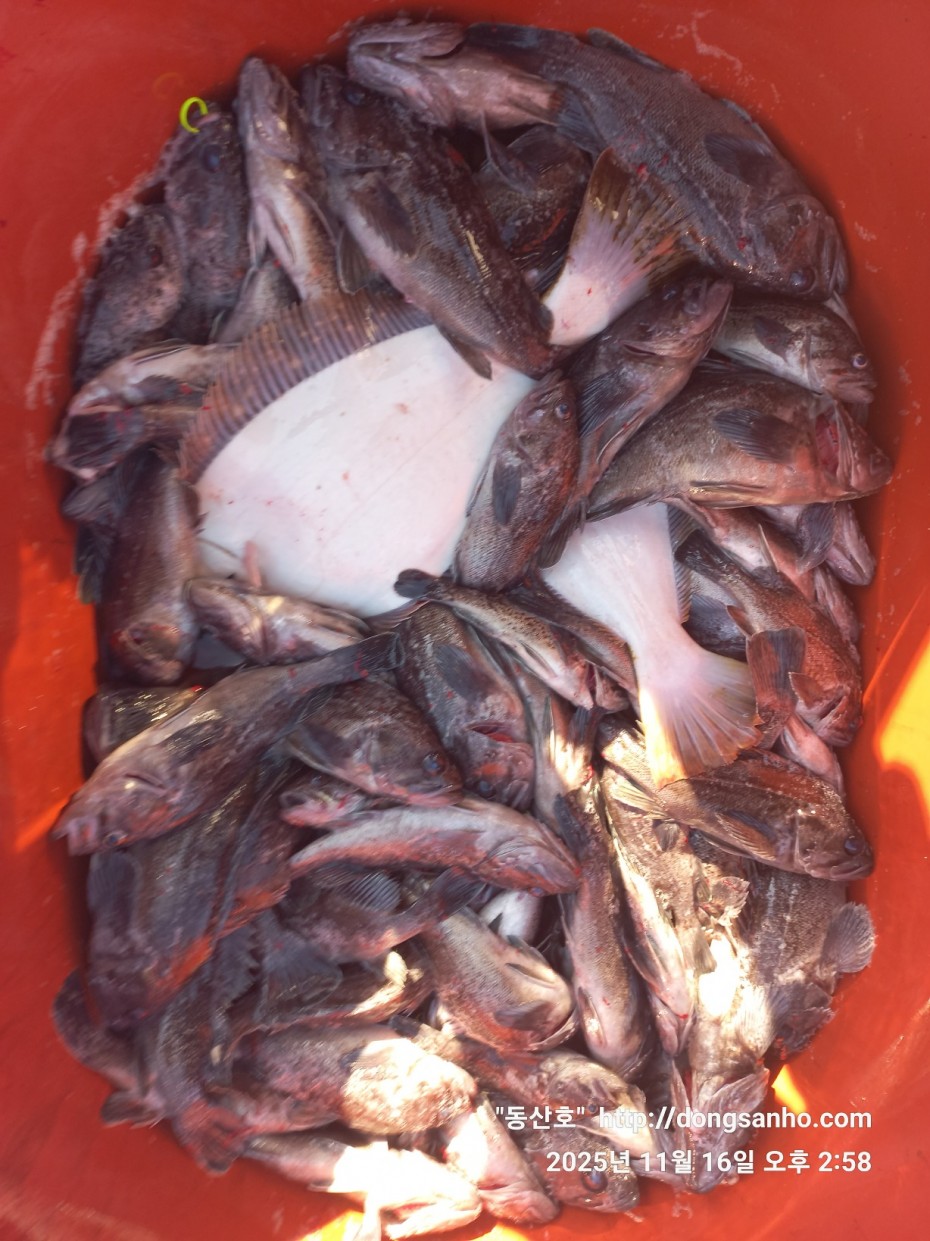 1d83b5011e8aa557f1940dab04e57778_1763416