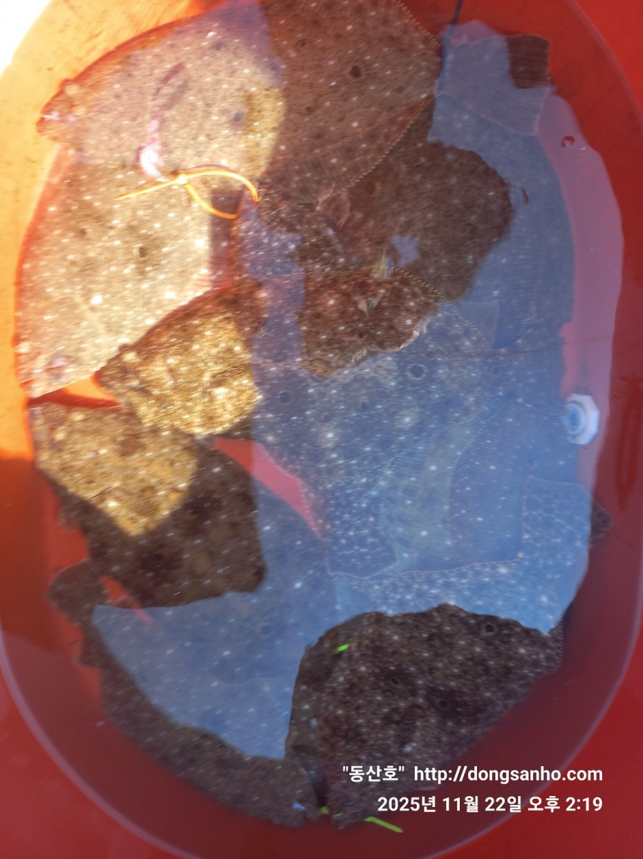 1e36c5923a7f33421212e32d37264314_1763913