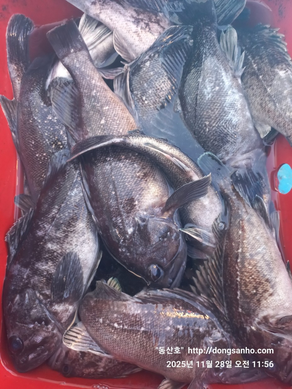 3120293bfb324c82bb29ecd1297a955e_1764345