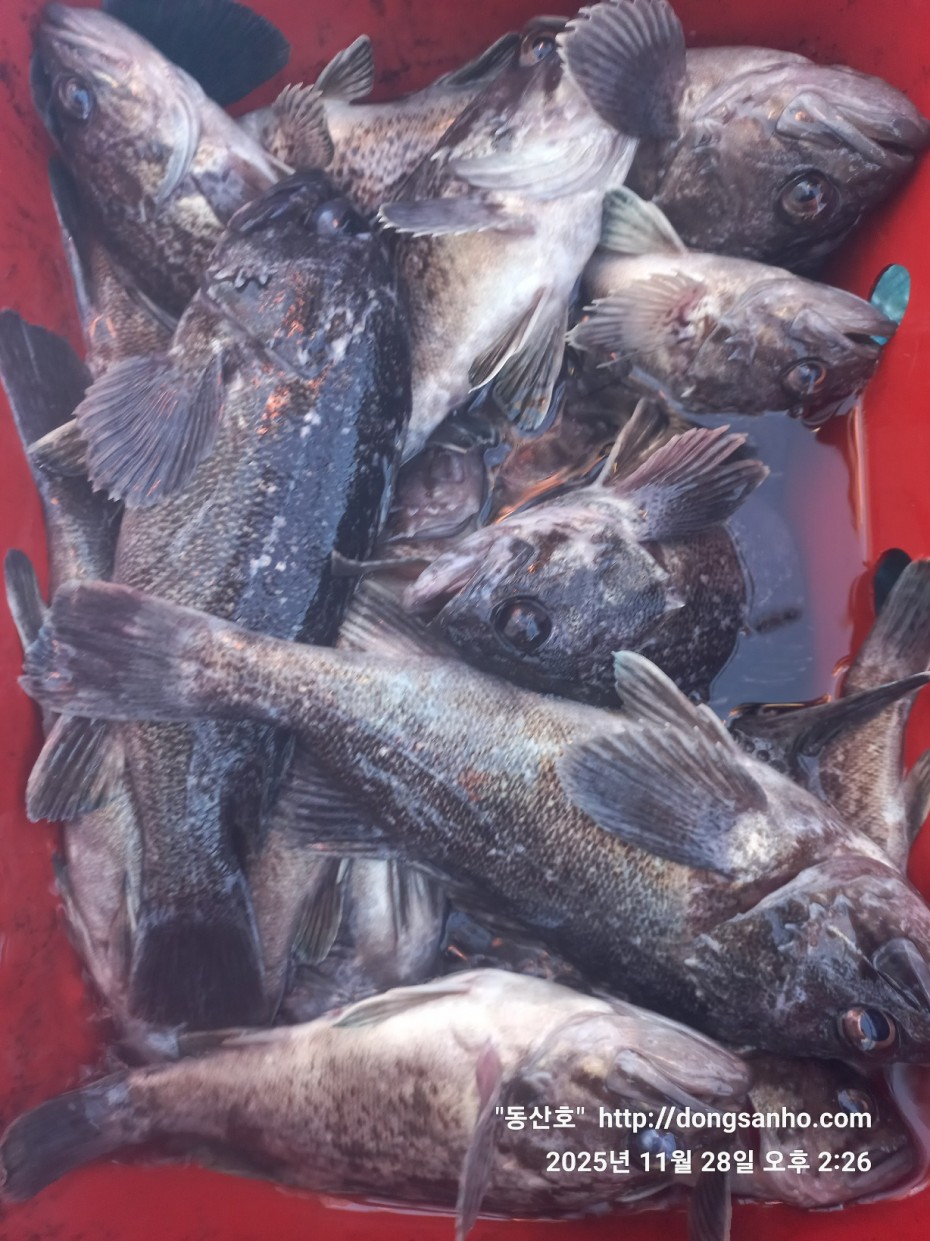 3120293bfb324c82bb29ecd1297a955e_1764345