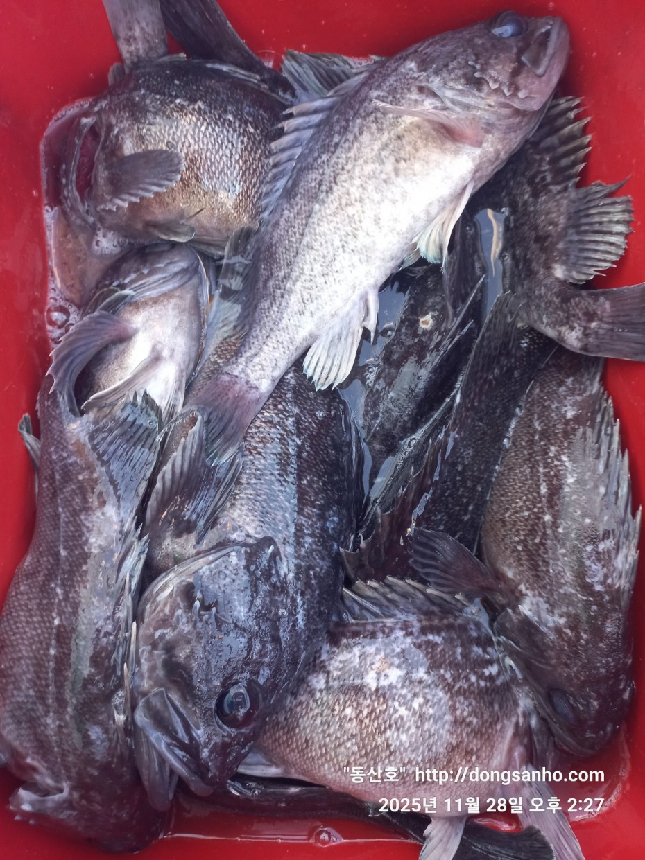 3120293bfb324c82bb29ecd1297a955e_1764345