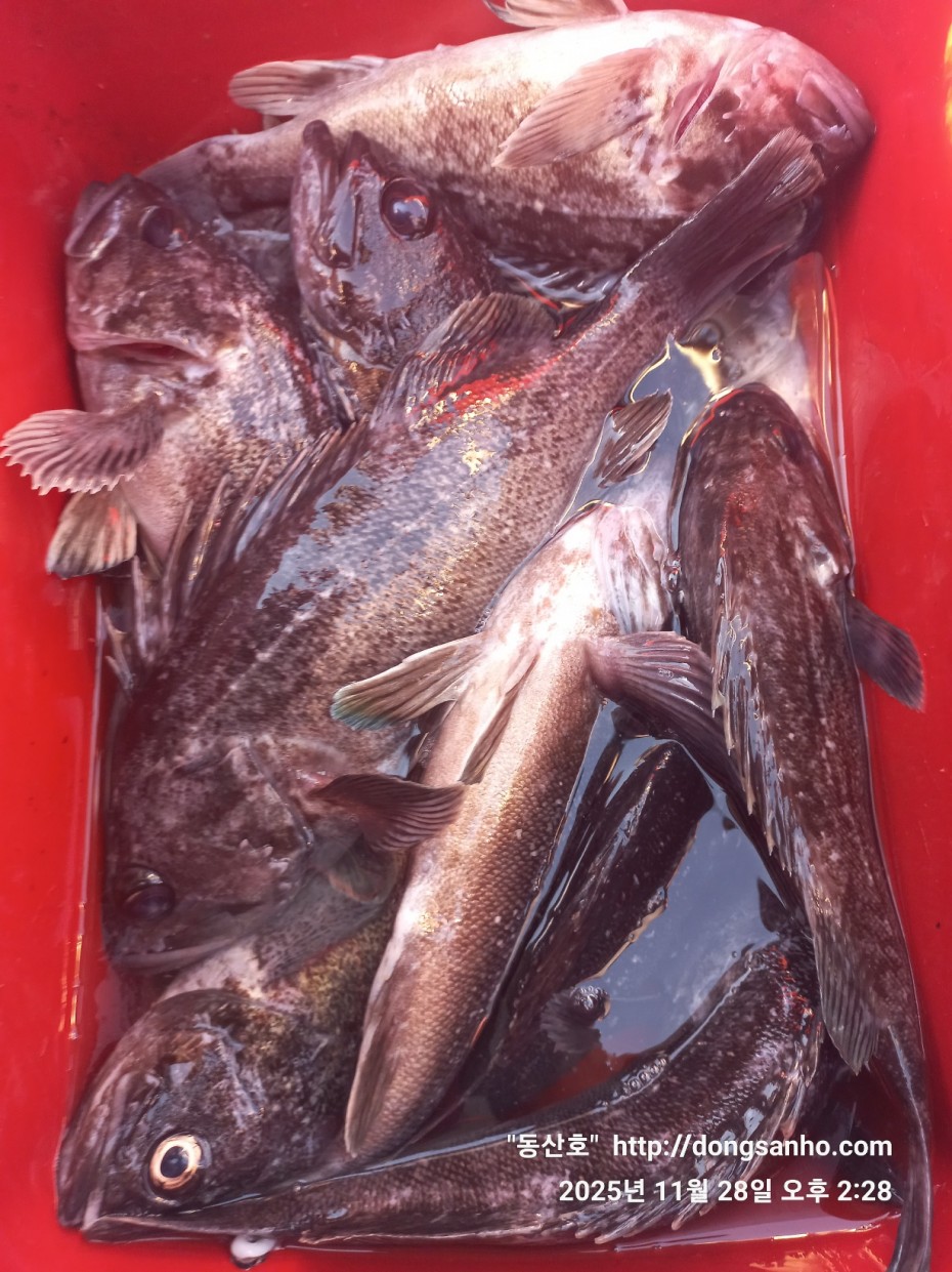 3120293bfb324c82bb29ecd1297a955e_1764345