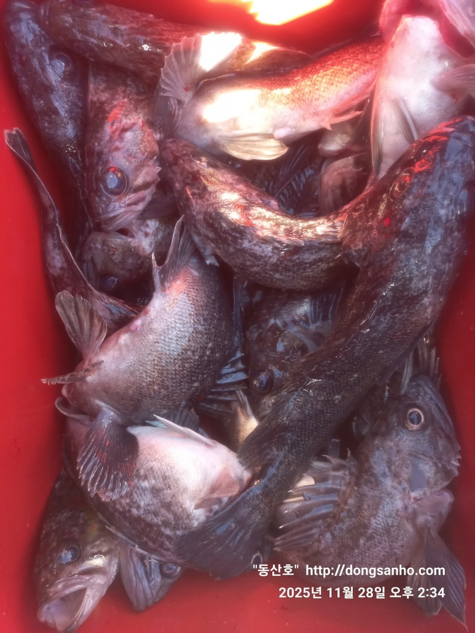 3120293bfb324c82bb29ecd1297a955e_1764345