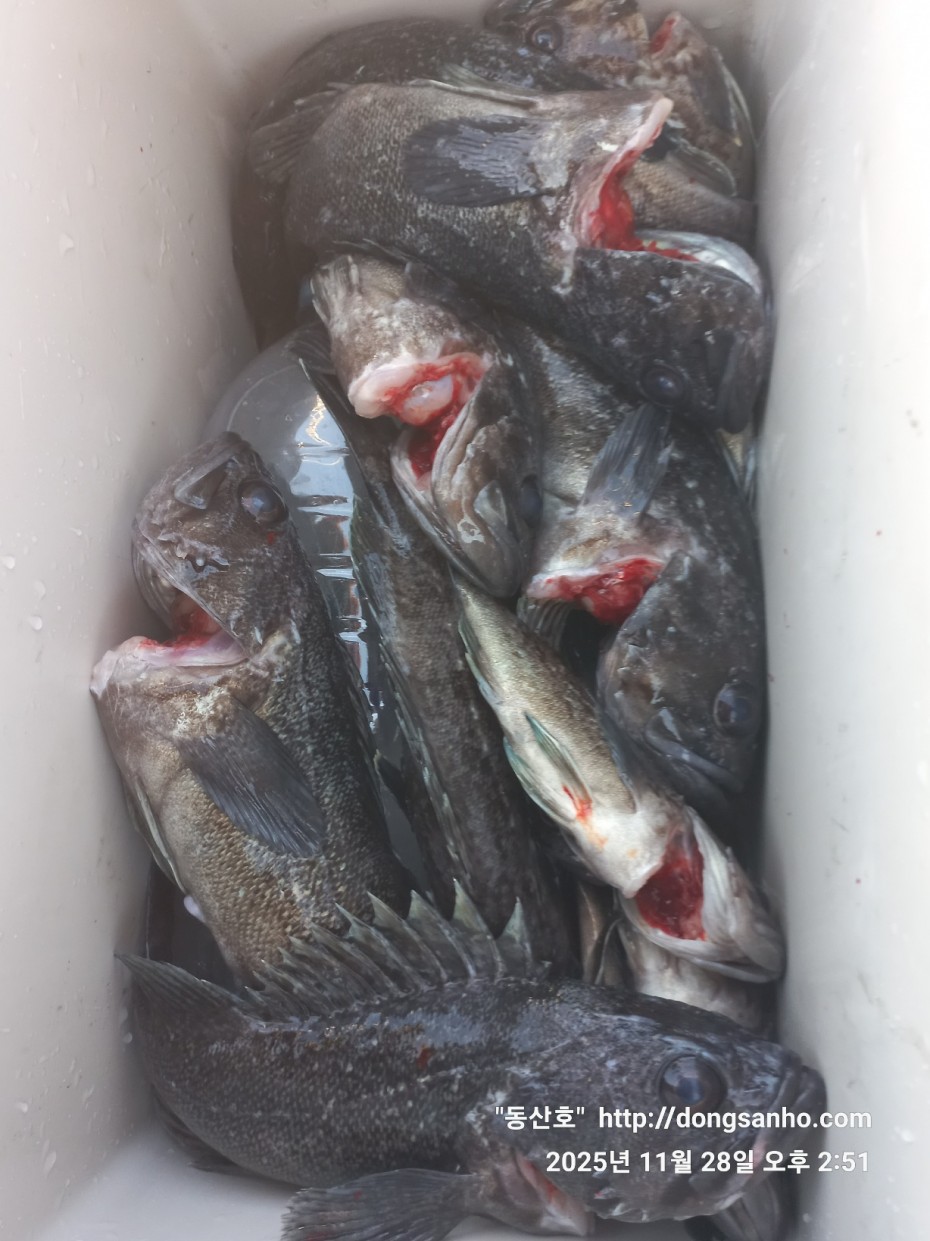 3120293bfb324c82bb29ecd1297a955e_1764345