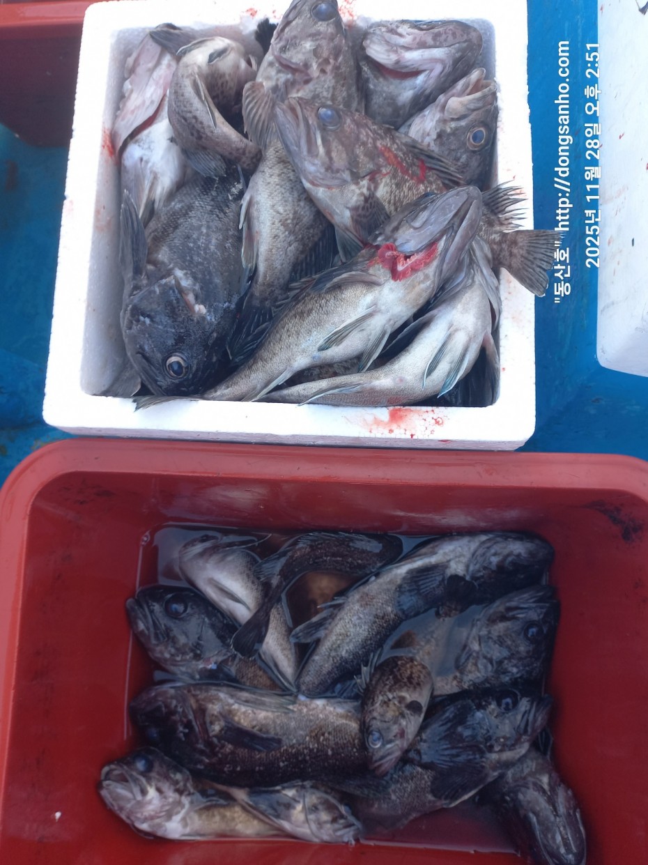 3120293bfb324c82bb29ecd1297a955e_1764345