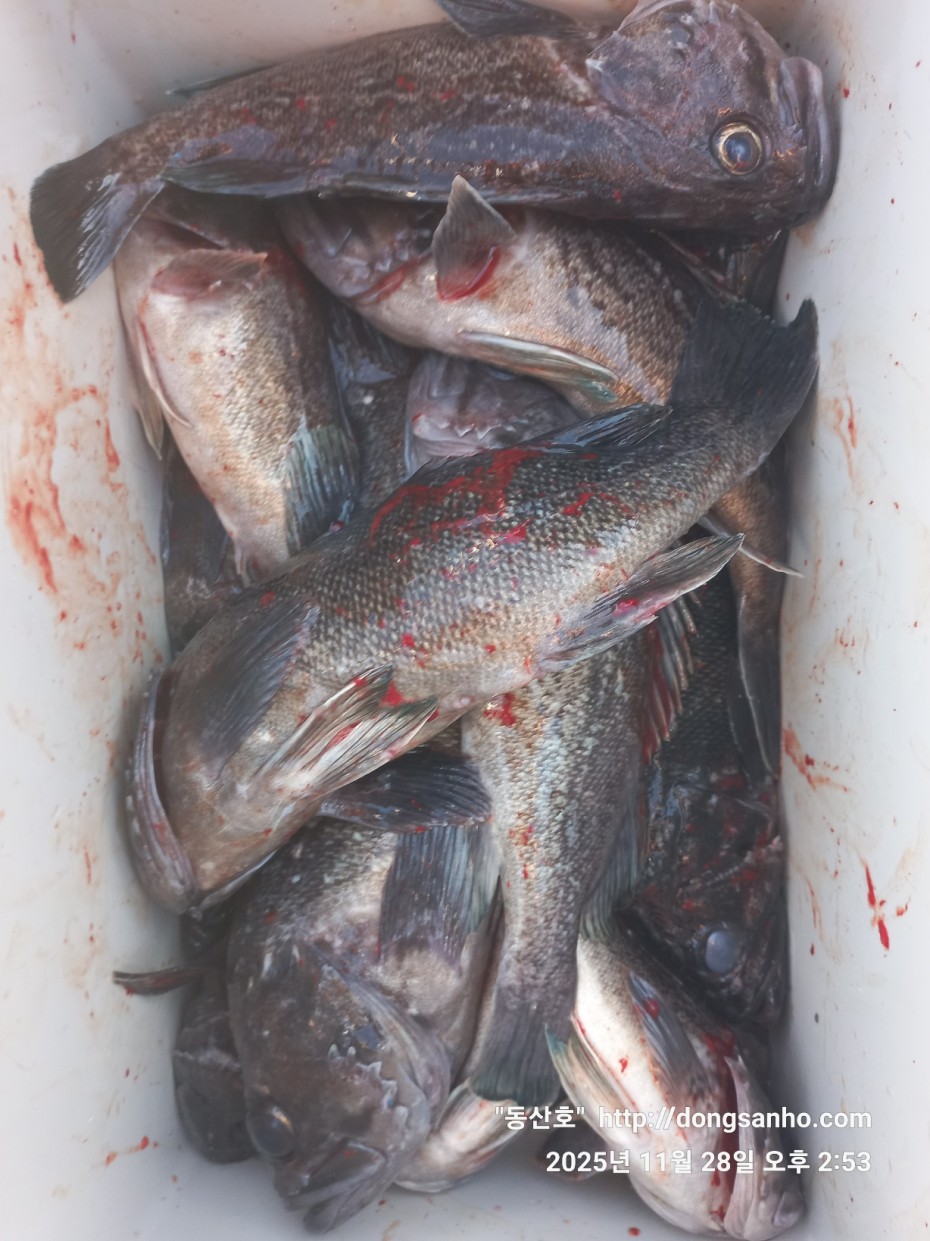 3120293bfb324c82bb29ecd1297a955e_1764345