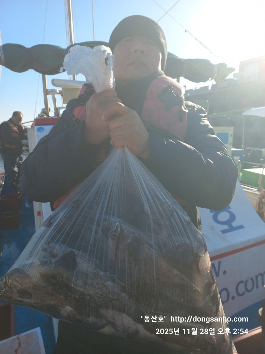 3120293bfb324c82bb29ecd1297a955e_1764345