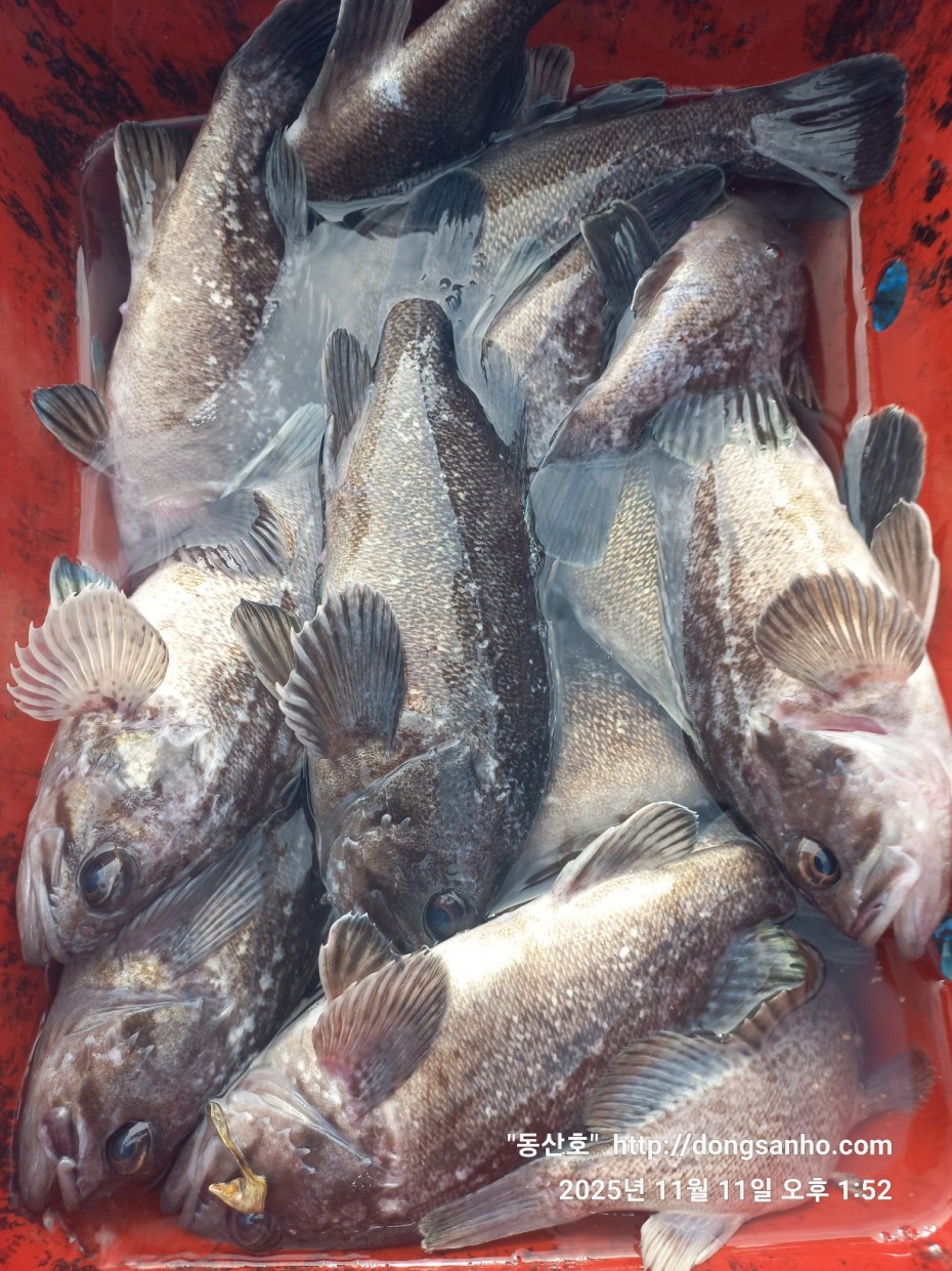 3d98df889f2608bdc680eff2bafe41ce_1762871