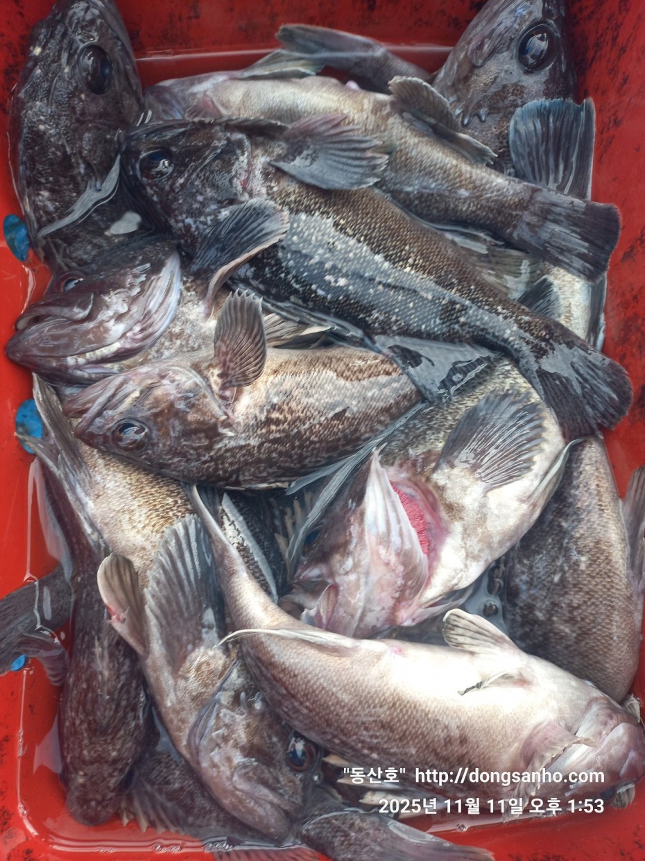 3d98df889f2608bdc680eff2bafe41ce_1762871