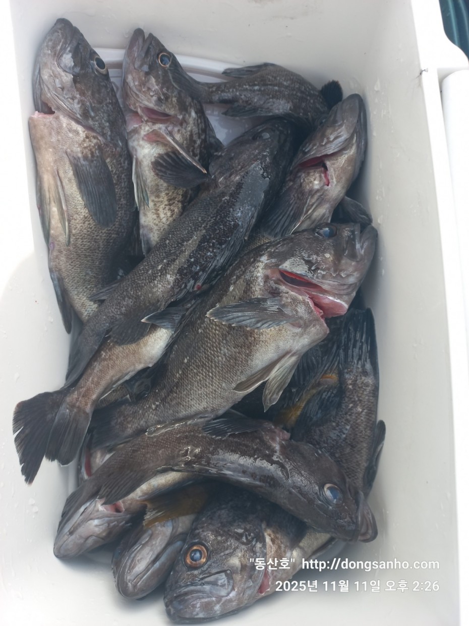 3d98df889f2608bdc680eff2bafe41ce_1762871