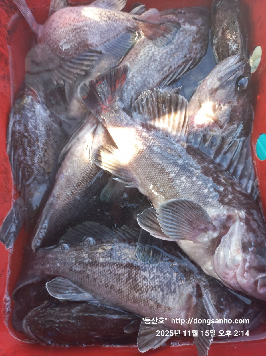 548679a1549b9f442f4852daebc8dff4_1763336