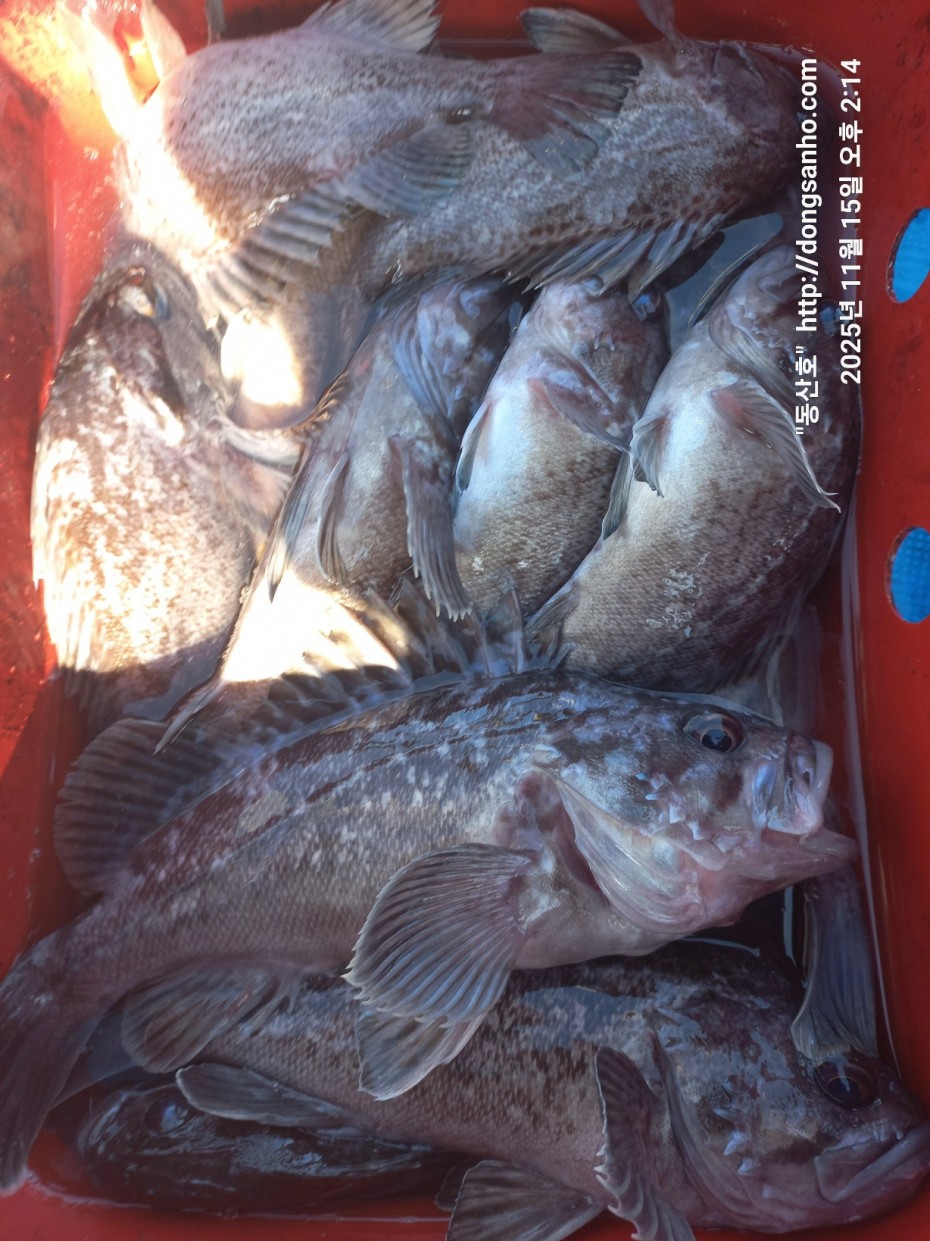 548679a1549b9f442f4852daebc8dff4_1763336