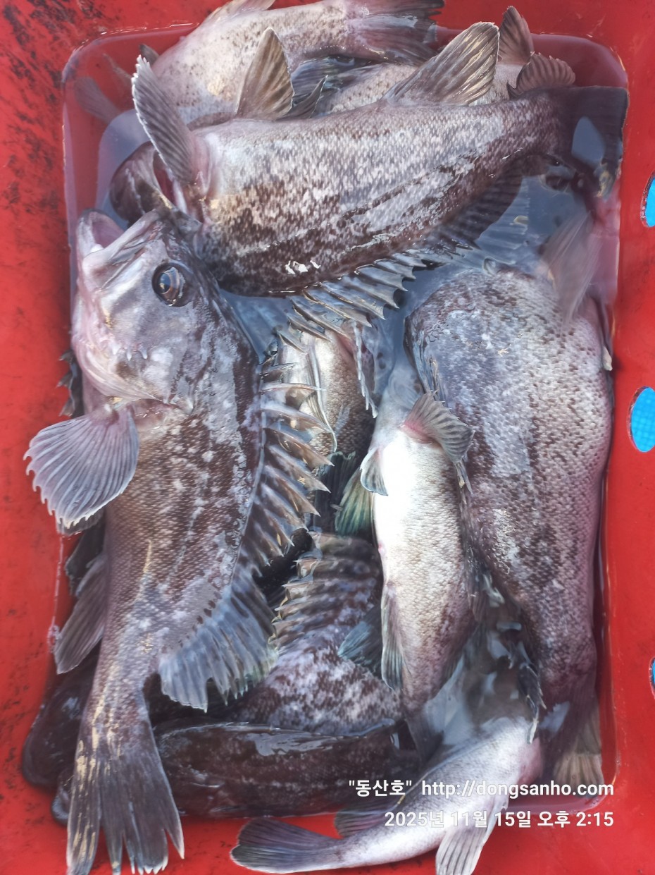 548679a1549b9f442f4852daebc8dff4_1763336