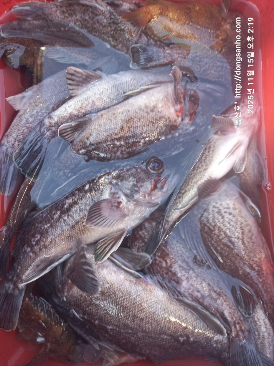 548679a1549b9f442f4852daebc8dff4_1763336