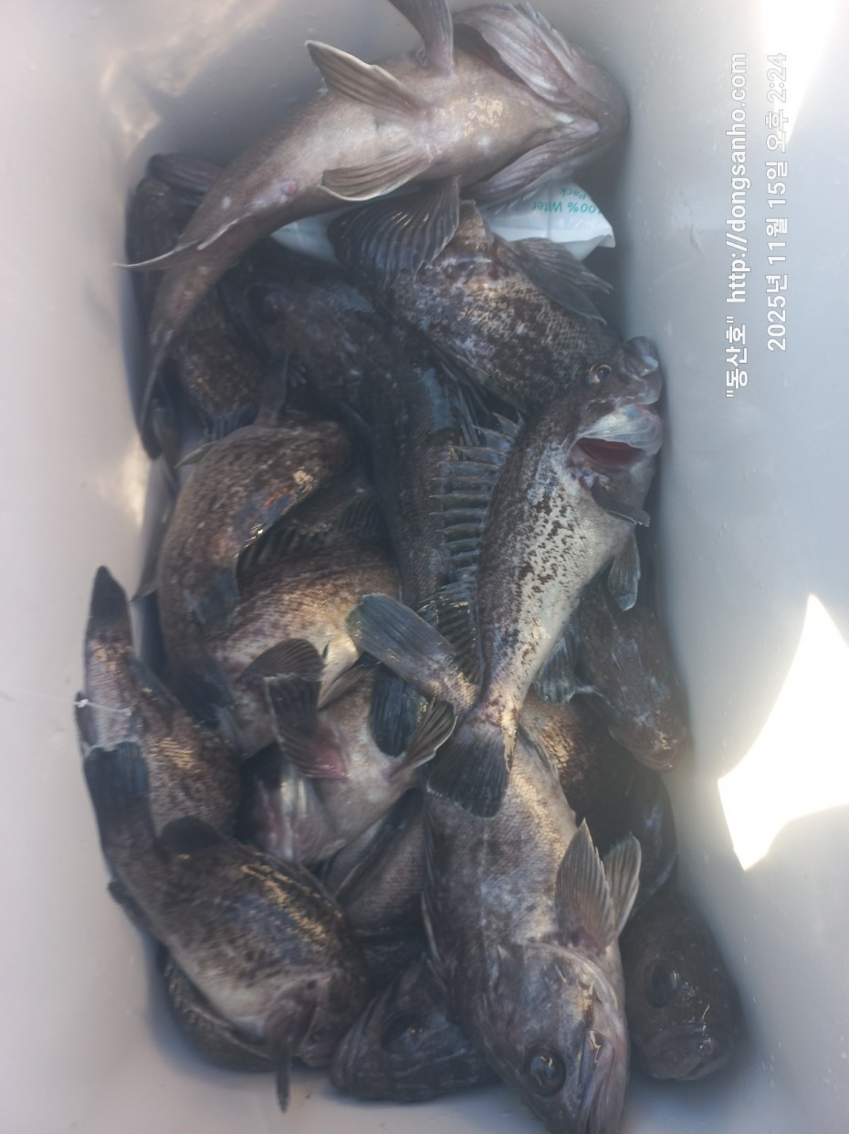 548679a1549b9f442f4852daebc8dff4_1763336