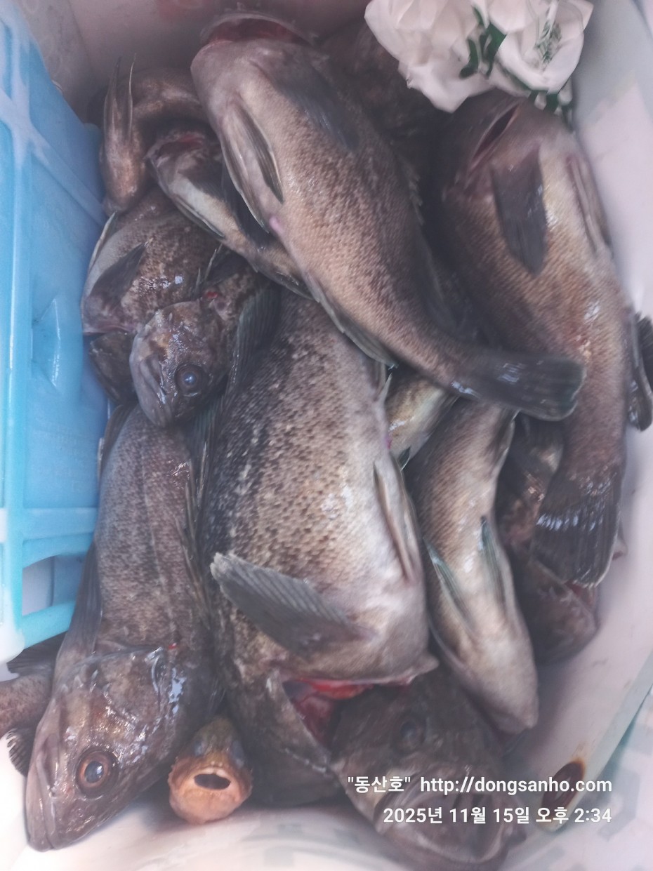 548679a1549b9f442f4852daebc8dff4_1763337