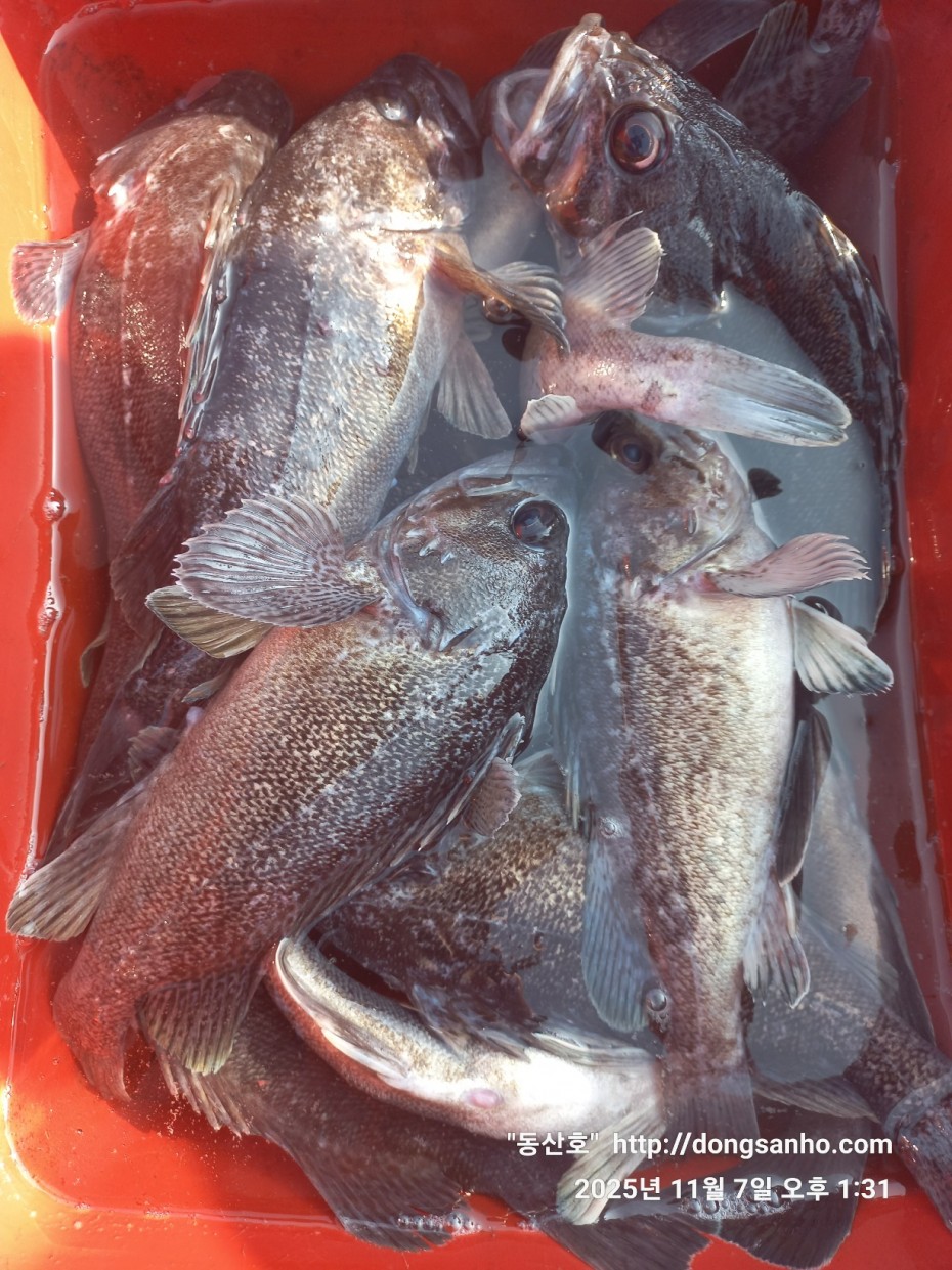 91be5c26f1bfa84e3b76671dc9c8f648_1762544