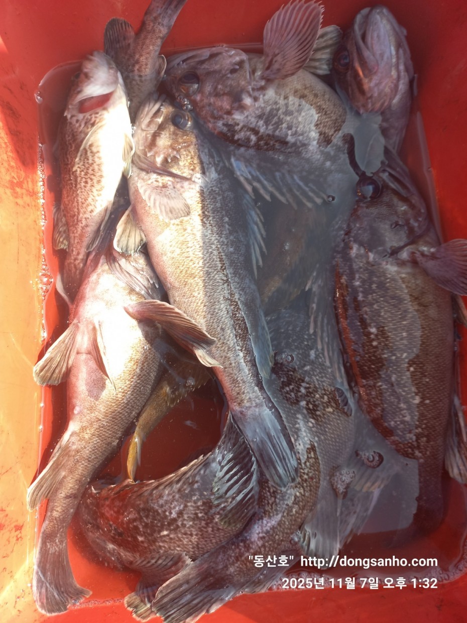 91be5c26f1bfa84e3b76671dc9c8f648_1762544