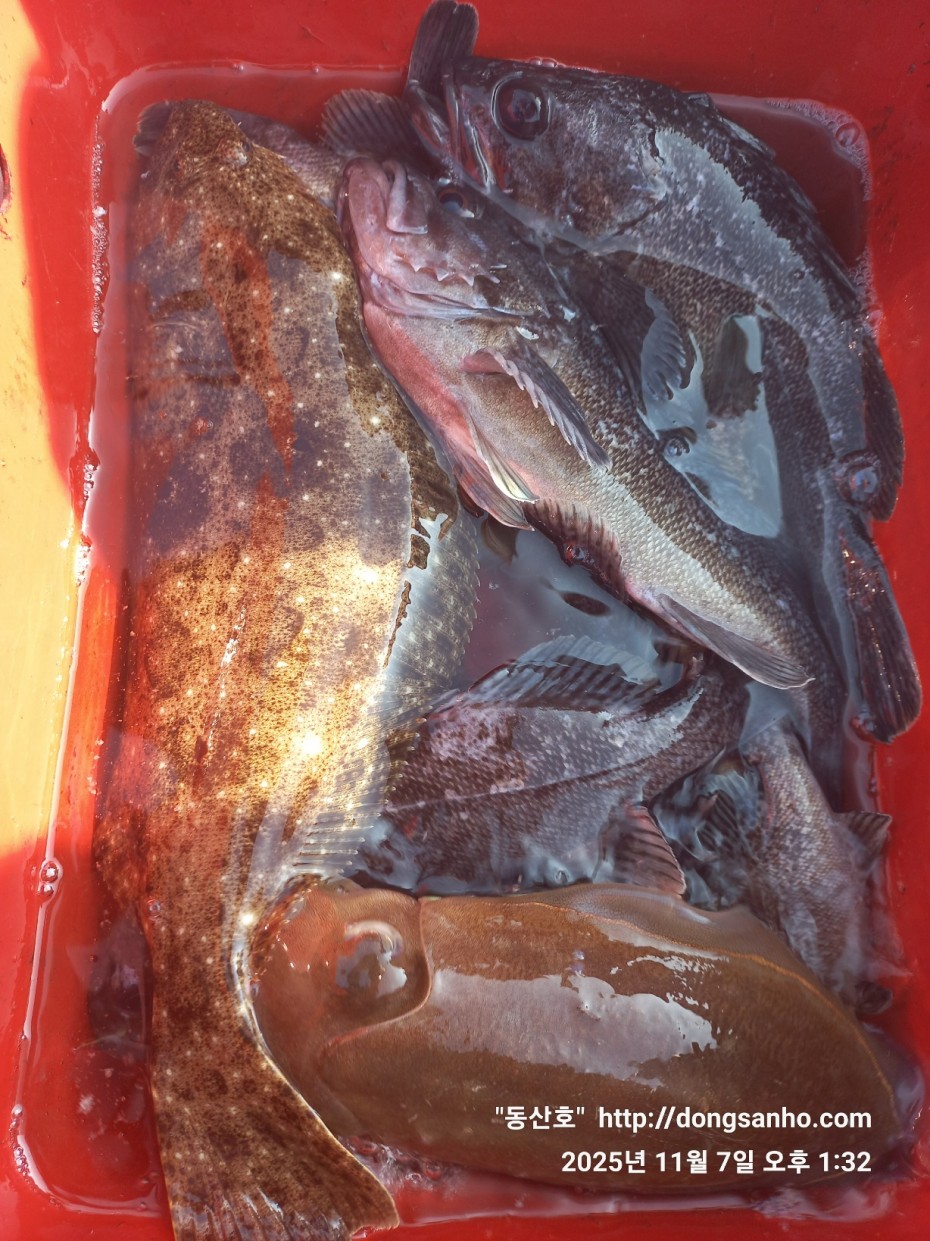 91be5c26f1bfa84e3b76671dc9c8f648_1762544