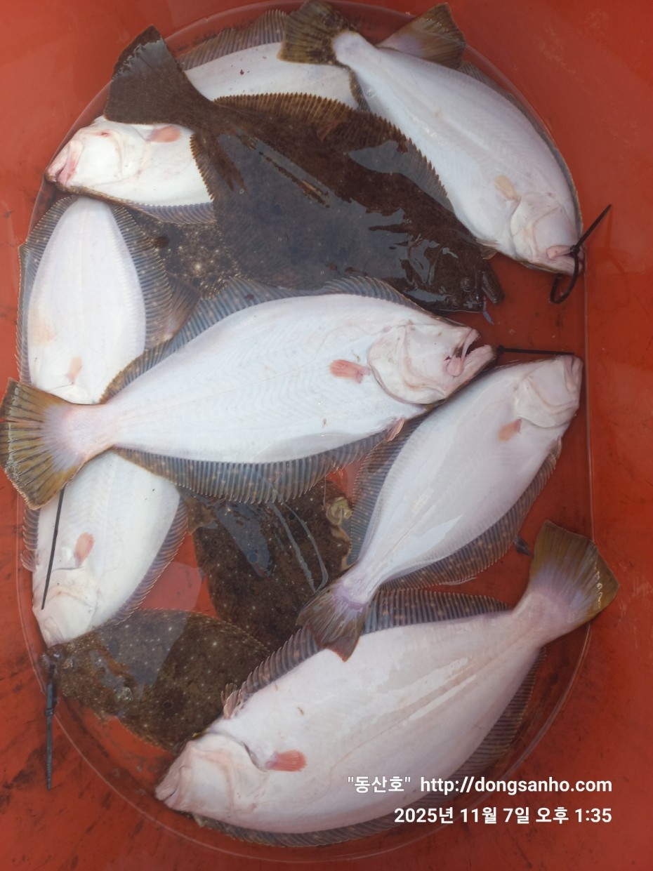 91be5c26f1bfa84e3b76671dc9c8f648_1762544