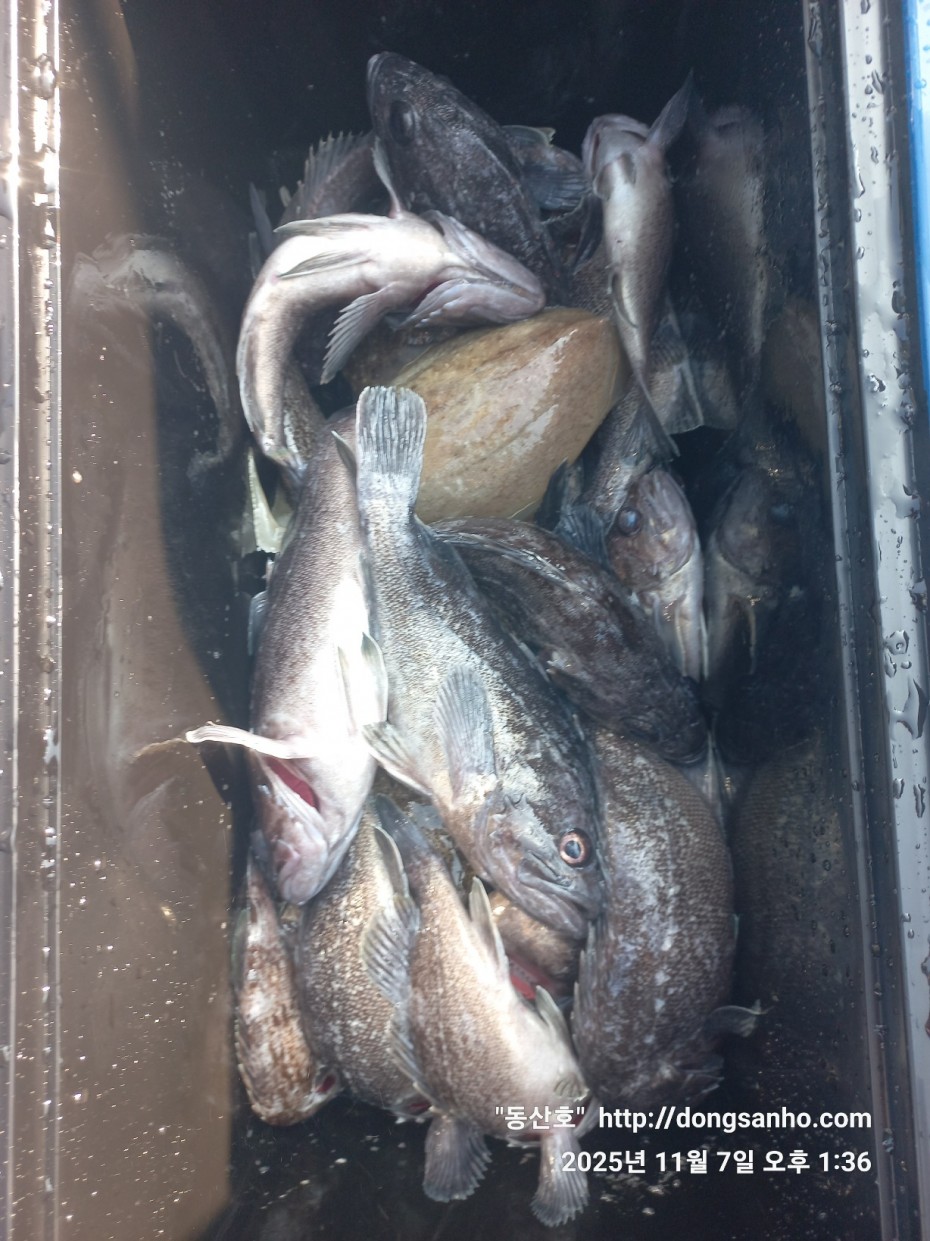 91be5c26f1bfa84e3b76671dc9c8f648_1762544