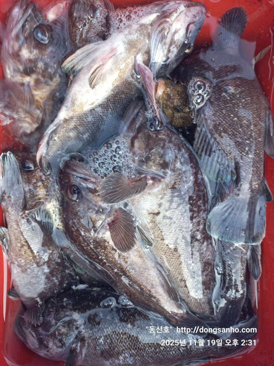 e0d53644ff09b9d93490c76a77c8ac9d_1763568