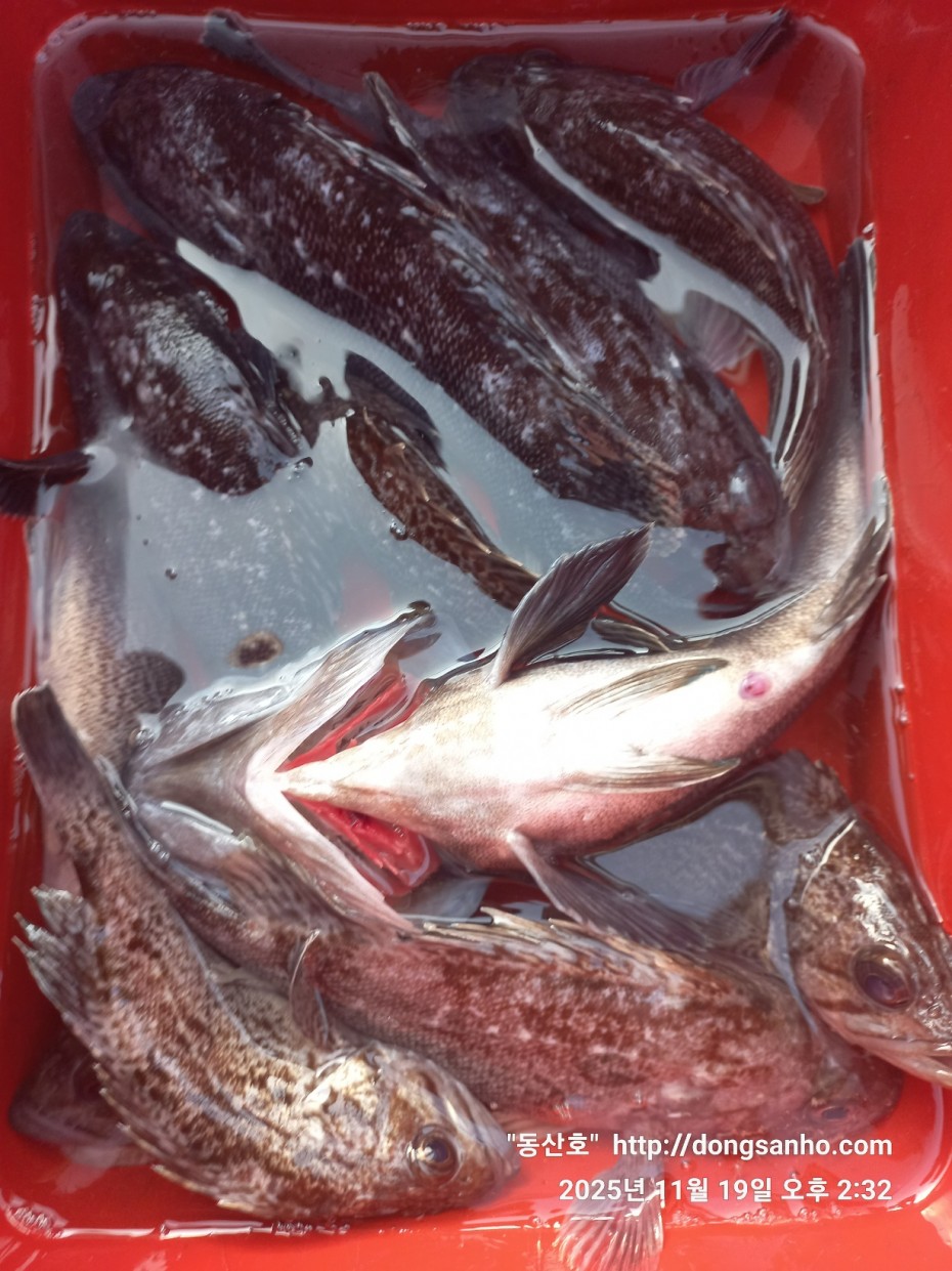 e0d53644ff09b9d93490c76a77c8ac9d_1763568