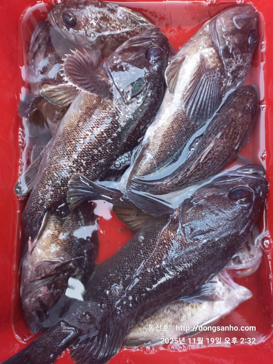 e0d53644ff09b9d93490c76a77c8ac9d_1763568