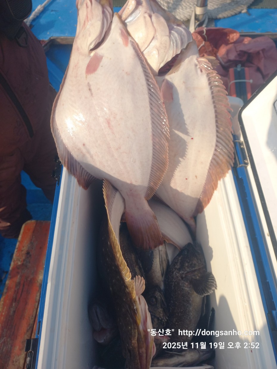 e0d53644ff09b9d93490c76a77c8ac9d_1763568