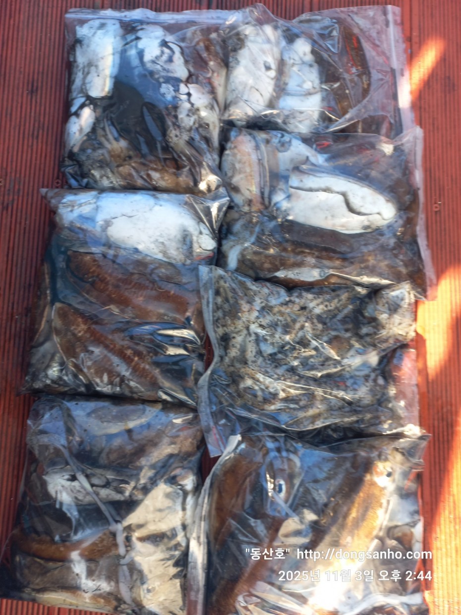 ec09508a30d20fd56dfd984673baca23_1762181