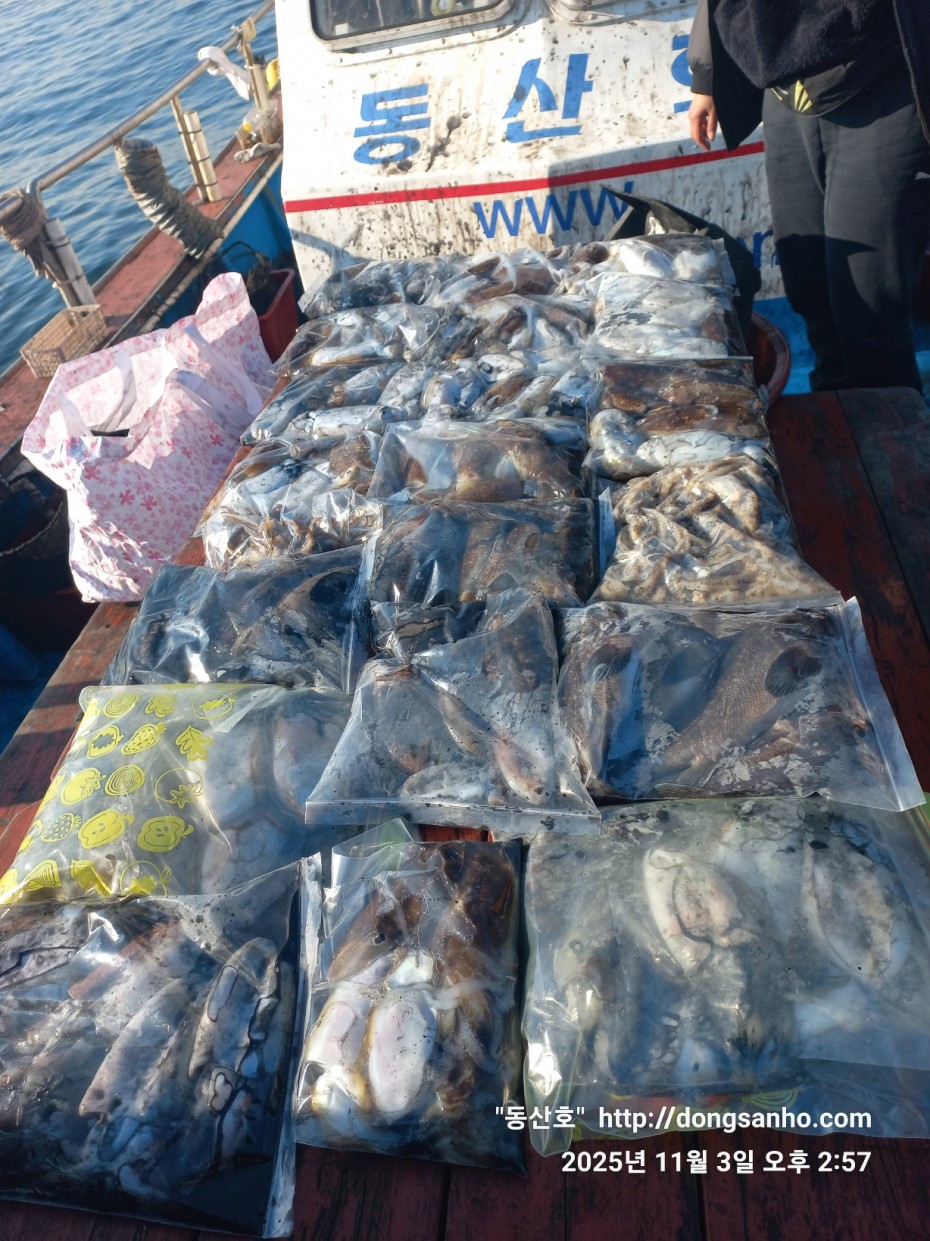 ec09508a30d20fd56dfd984673baca23_1762182