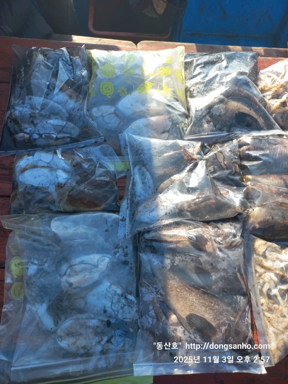 ec09508a30d20fd56dfd984673baca23_1762182