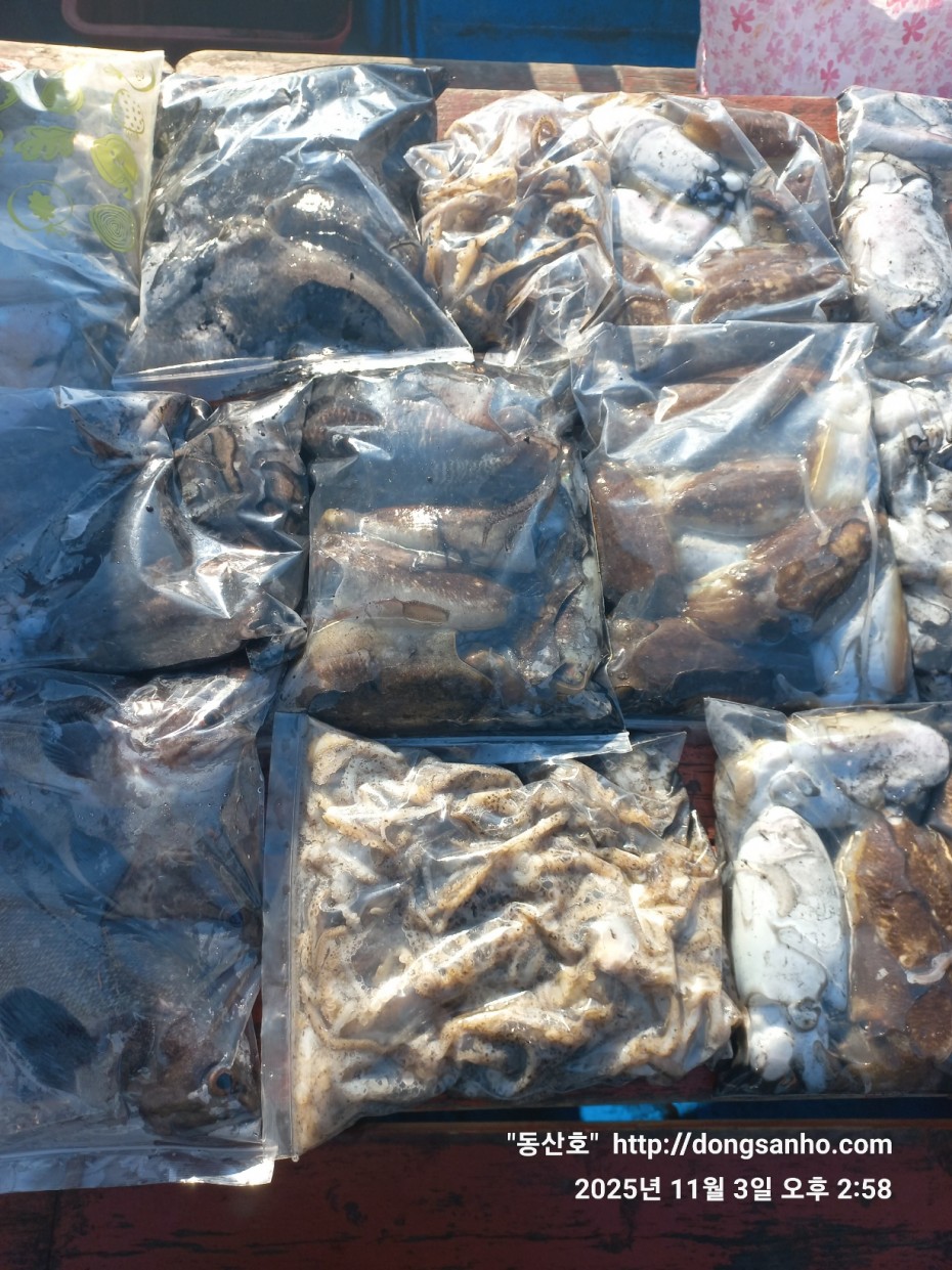 ec09508a30d20fd56dfd984673baca23_1762182