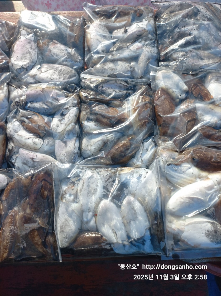 ec09508a30d20fd56dfd984673baca23_1762182