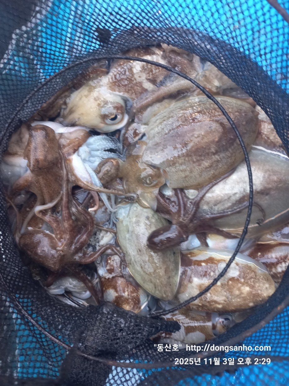 ec09508a30d20fd56dfd984673baca23_1762185